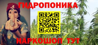 гашик Анжеро-Судженск