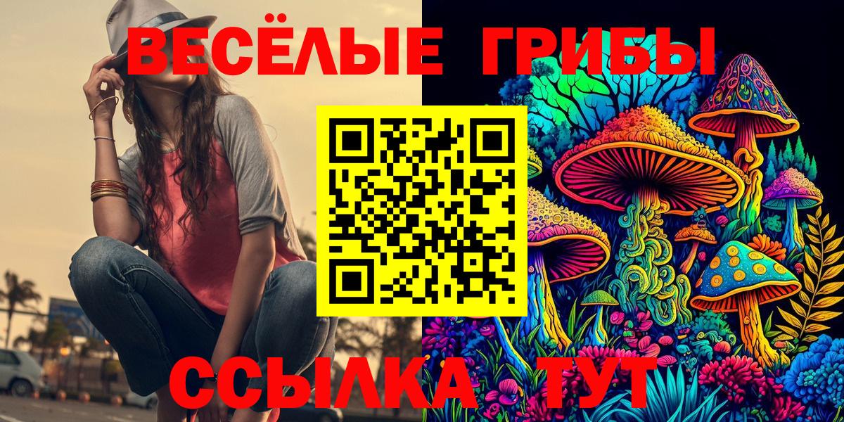 Галлюциногенные грибы Cubensis  Вход с VPN  Аша  Галлюциногенные грибы Psilocybe 
