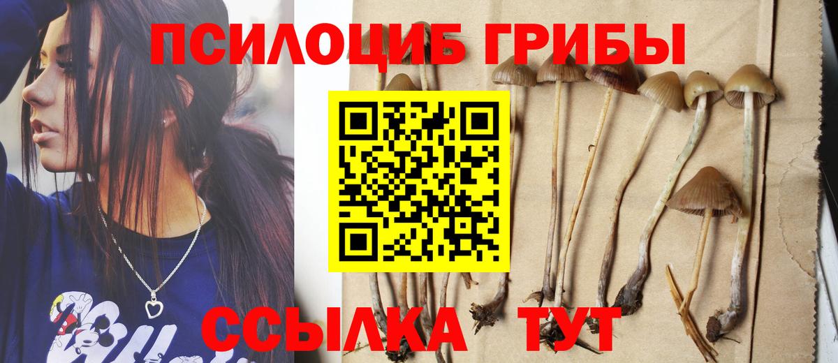 Галлюциногенные грибы GOLDEN TEACHER Аша